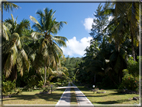 foto Flora e la Fauna alle Seychelles